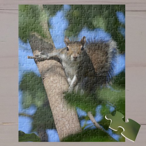 Cute Watchful Squirrel in a Tree photography Jigsaw Puzzle