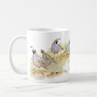 Cute Watercolor California Quail Bird Art