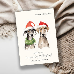 Cute Watercolor Dog Furry and Bright Christmas Holiday Card
