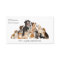 Cute watercolor dog walker boarding business card