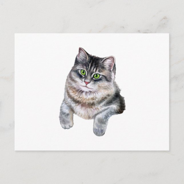 Cute Watercolor Gray Tabby Cat  Postcard (Front)