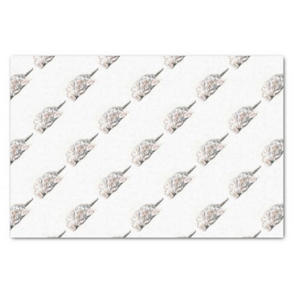 Cute Watercolor Maine Coon Kitty Tissue Paper