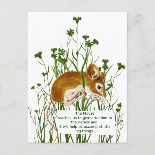 Cute Watercolor Mouse Animal Totem Spirit Guide Postcard