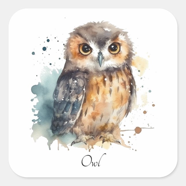 Cute Watercolor Owl, custom Square Sticker (Front)