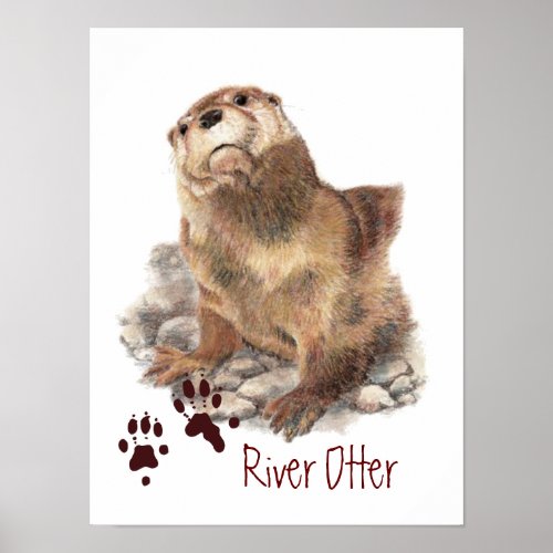 Cute Watercolor  River Otter Animal Poster