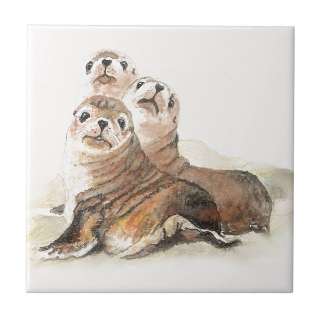 Cute Watercolor Seals Animal Ceramic Tile (Front)