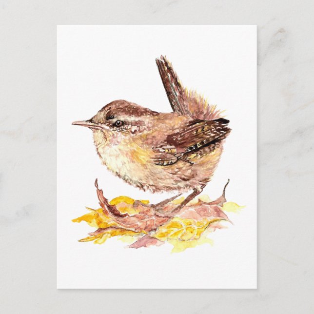 Cute Watercolor Wren Bird, Nature, Wildlife Postcard (Front)