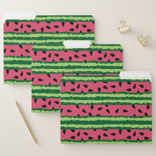 Cute Watermelon Pattern Pink & Green File Folder