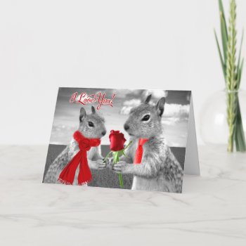 Cute Wedding Anniversary Woodland Squirrel Love Card by SalonOfArt at Zazzle