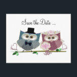 Cute Wedding Owls Announcement Postcard<br><div class="desc">digital art design for a Special Occasion</div>