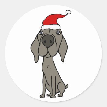 Cute Weimaraner Dog In Santa Hat Christmas Cartoon Classic Round Sticker by ChristmasSmiles at Zazzle