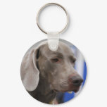 Cute Weimaraner  Keychain