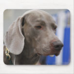 Cute Weimaraner  Mouse Pad