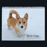 Cute Welsh Corgi Dog Photography 2025 Wall Calendar<br><div class="desc">2025 Welsh Corgi wall calendar that features a beautiful Pembroke Welsh Corgi photograph on each page. The pretty dog photography brightens each month and features pretty both tri-color and tan & white corgis having fun in nature. Some of the dogs even have a tail.</div>