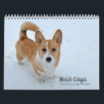 Cute Welsh Corgi Dog Photography 2026 Wall Calendar<br><div class="desc">2026 Welsh Corgi wall calendar that features a beautiful Pembroke Welsh Corgi photograph on each page. The pretty dog photography brightens each month and features pretty both tri-color and tan & white corgis having fun in nature. Some of the dogs even have a tail.</div>