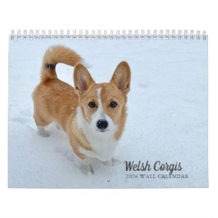 Cute Welsh Corgi Dog Photography 2026 Wall Calendar