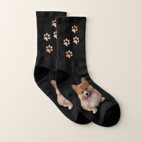 Cute Welsh Corgi Socks