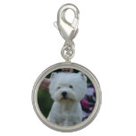 Cute West Highland White Terrier Charm