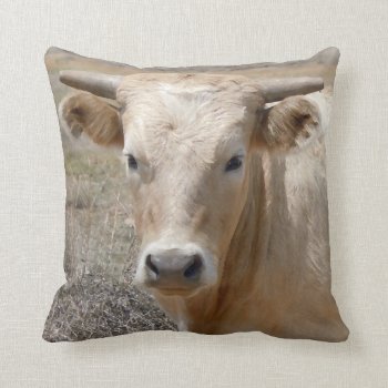 Cute Western Charolais Cow Face Throw Pillow by She_Wolf_Medicine at Zazzle