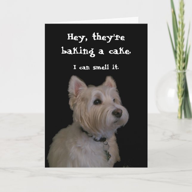 Cute Westie Birthday Card (Front)