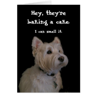 west highland terrier cards greeting & photo cards zazzle cute_westie_birthday_card r5febd3bb2c644fc890d1416744f8d1eb_xvuat_8byvr_324 west highland terrier cards greeting & photo cards zazzle