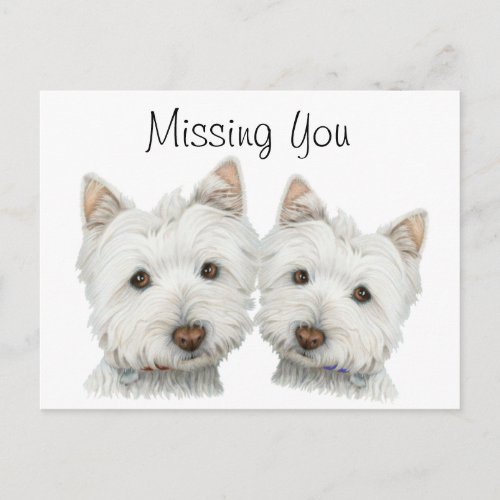 Cute Westie Dogs Postcard