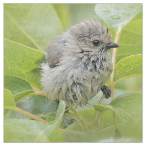 Cute Wet Wee Bushtit on the Laurel Fabric