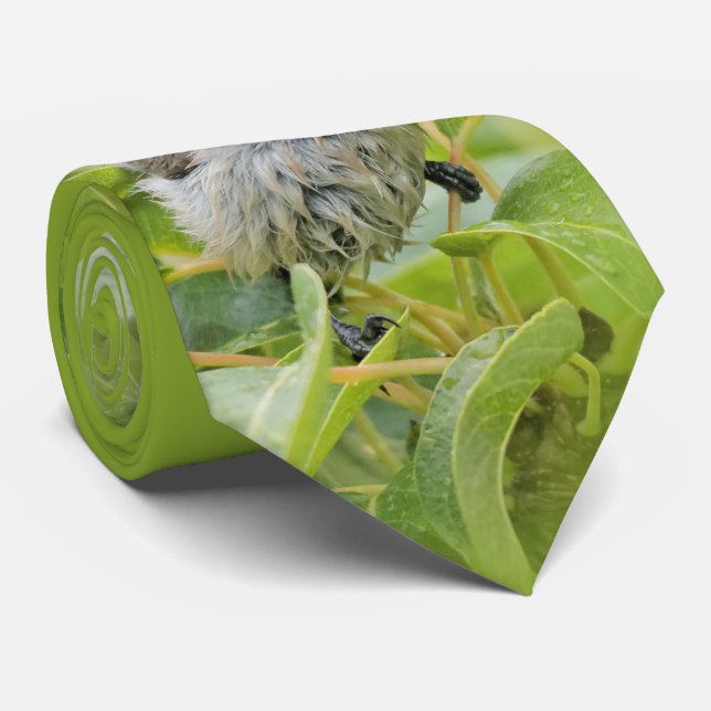Cute Wet Wee Bushtit on the Laurel Neck Tie (Rolled)