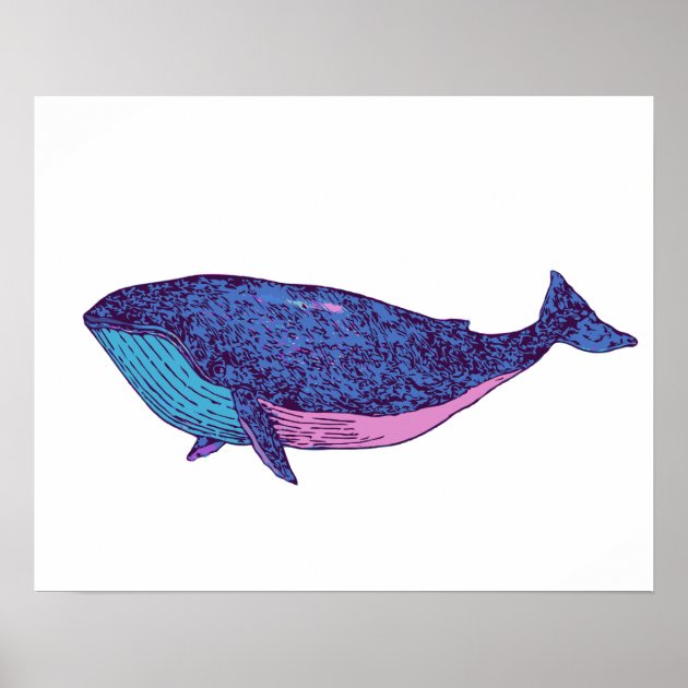 Premium Vector | Sketch whale line art