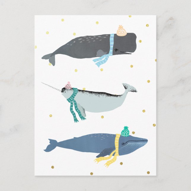 Cute Whale Scarves Winter Christmas Illustration   Postcard (Front)