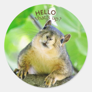 Cute What's Up Envelope Seals