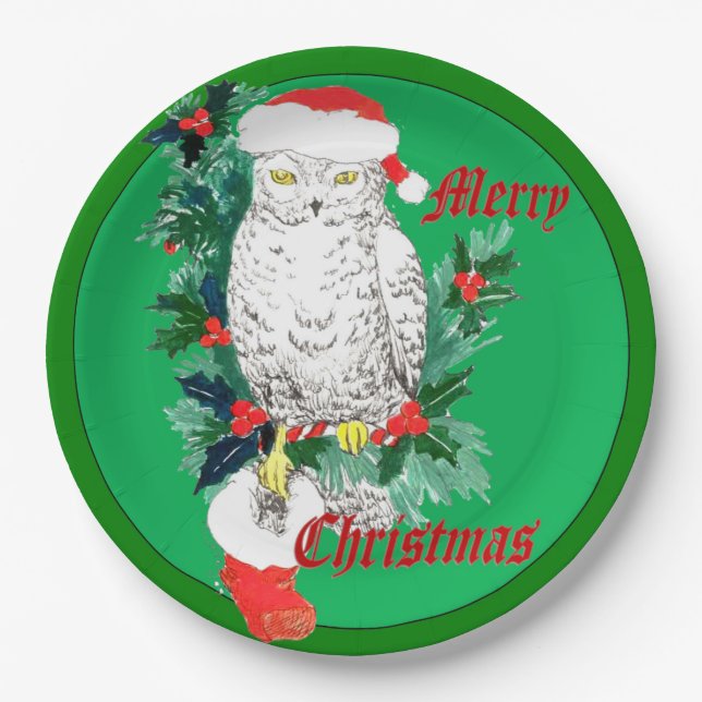 Cute Whimsical Christmas Owl Stocking Designed Paper Plates (Front)