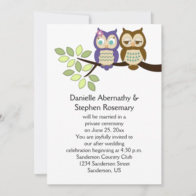 Cute Whimsical Owls After Wedding Celebration Invitation (Front)
