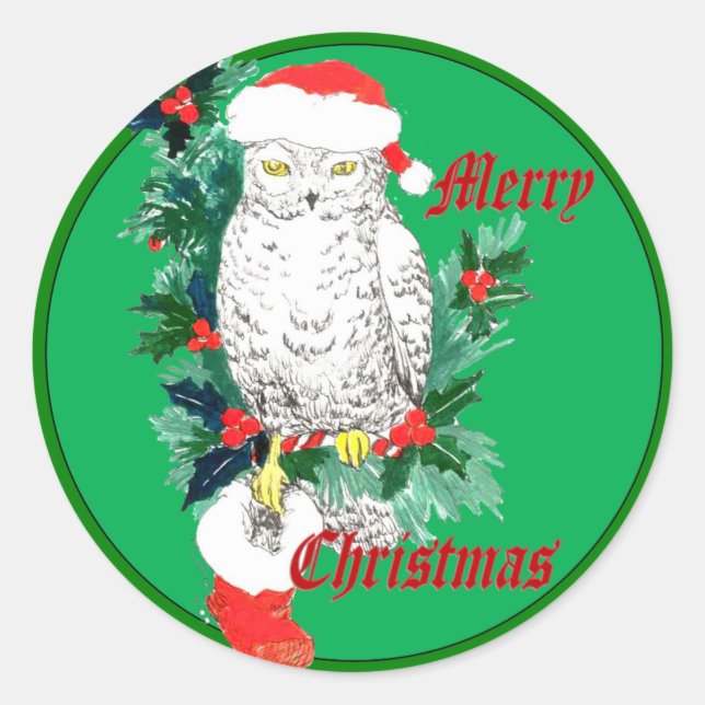 Cute Whimsical Wildlife Christmas Owl Stocking Classic Round Sticker (Front)