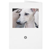 Cute Whippet Cards (Back)