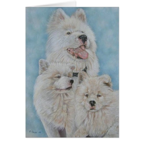 Cute white akita long coat realist portrait blank