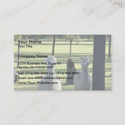 Cute White Alpaca Boys In Green Meadow Full Of Tre Business Card Template