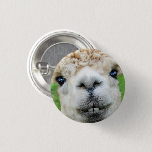 Cute White Alpaca Face Button