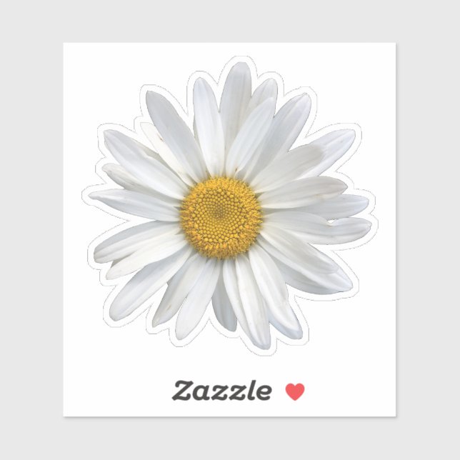 Cute White and Yellow Daisy Floral Sticker (Sheet)