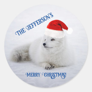 Cute White Arctic Fox in Snow    Classic Round Sticker