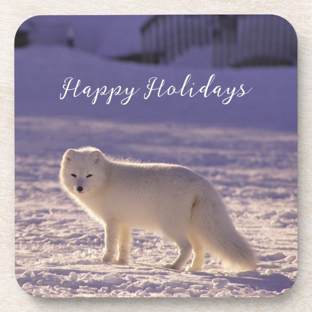 Cute White Arctic Fox Snow Winter Photography Beverage Coaster (Front)