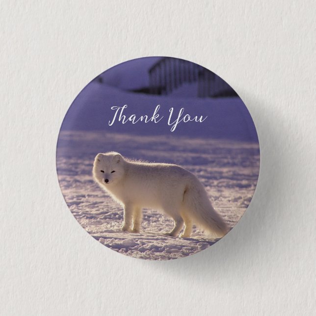 Cute White Arctic Fox Snow Winter Photography Button (Front)