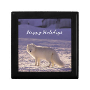 Cute White Arctic Fox Snow Winter Photography Gift Box