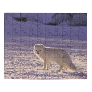 Cute White Arctic Fox Snow Winter Photography Jigsaw Puzzle