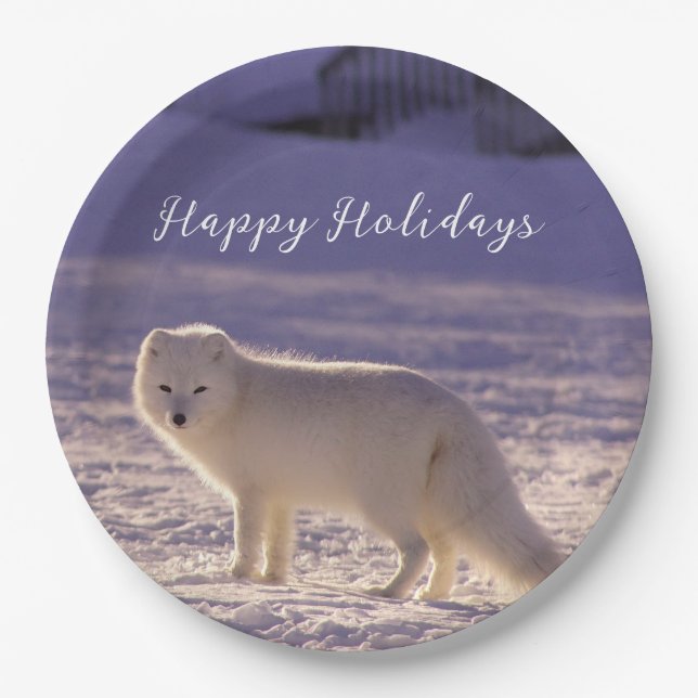 Cute White Arctic Fox Snow Winter Photography Paper Plates (Front)