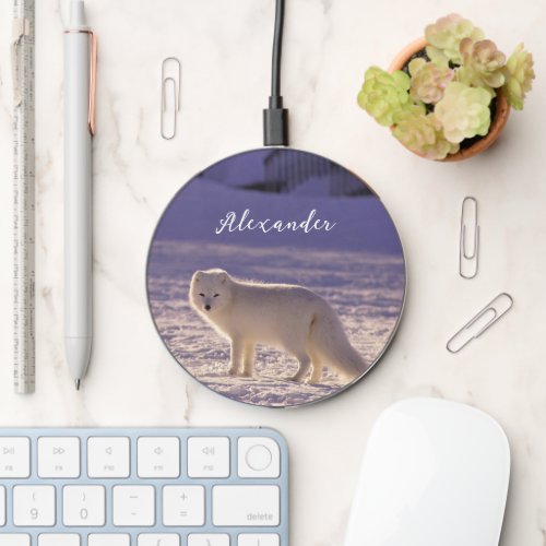 Cute White Arctic Fox Snow Winter Photography Wireless Charger