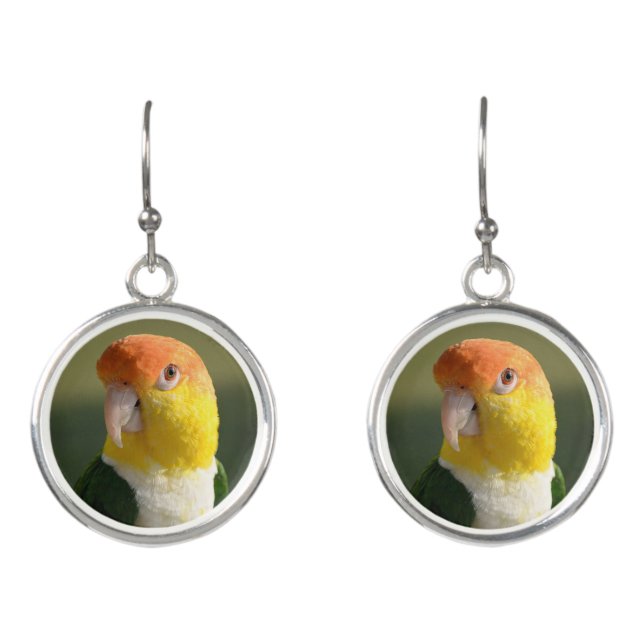 Cute White Bellied Caique Parrot Earrings (Front)