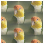 Cute White Bellied Caique Parrot Fabric