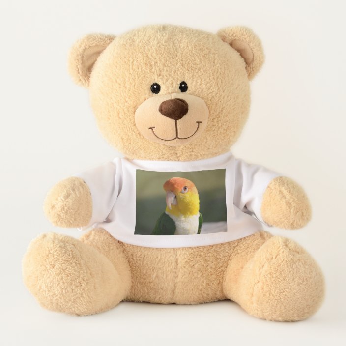 parrot teddy
