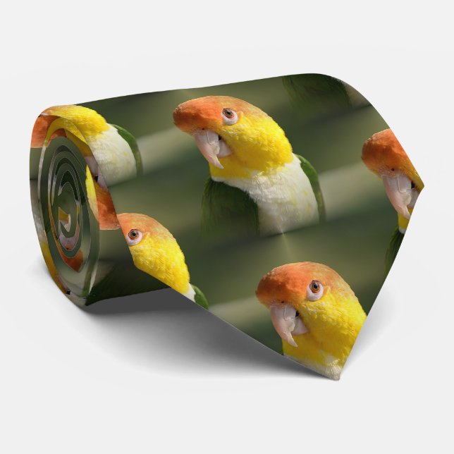 Cute White Bellied Caique Parrot Tie (Rolled)